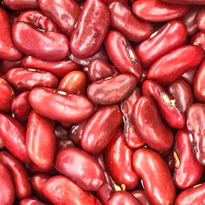 Frijol Rojo