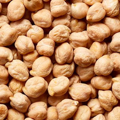 Garbanzo
