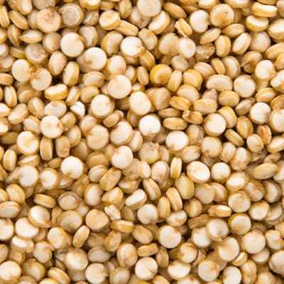 Cuscús